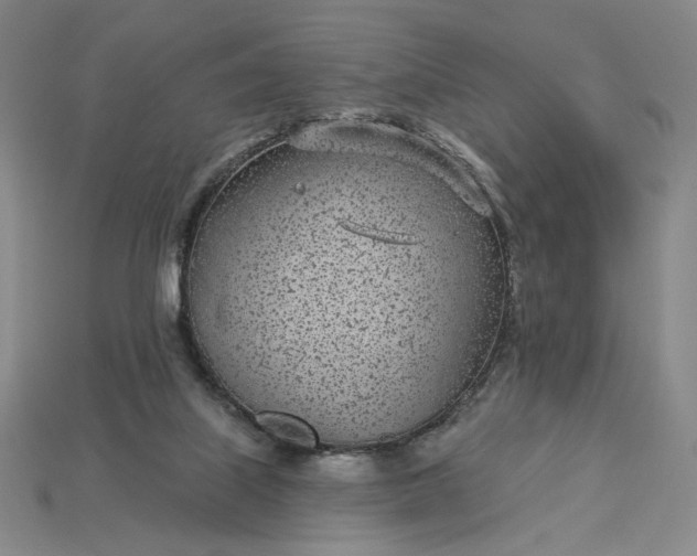 X0000115250067200911131733