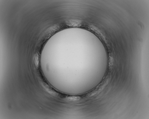 X0000115250069200911131733