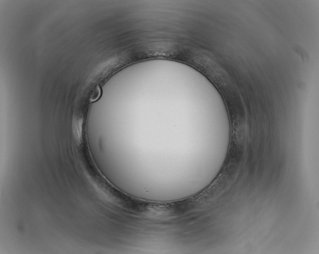 X0000115250070200911131733