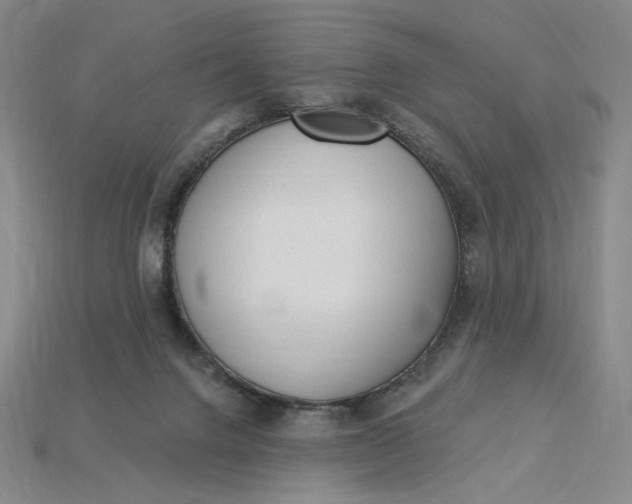 X0000115250072200911131733