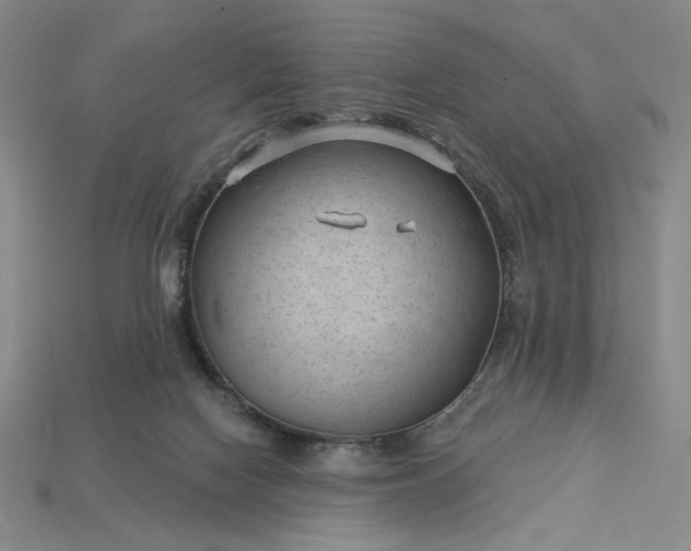 X0000115250074200911131733