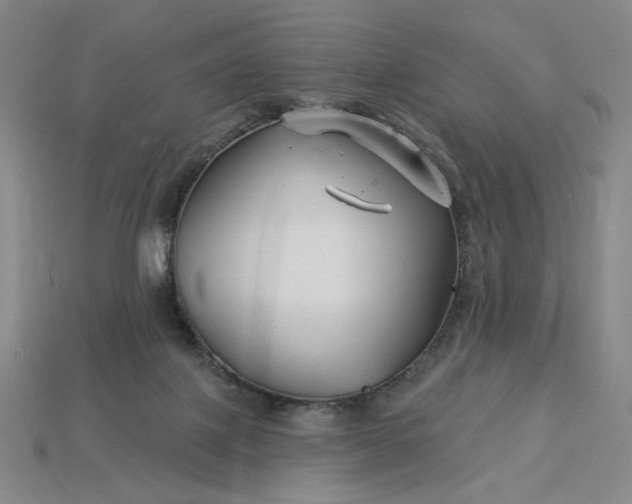 X0000115250075200911131733