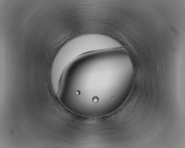 X0000115250076200911131733