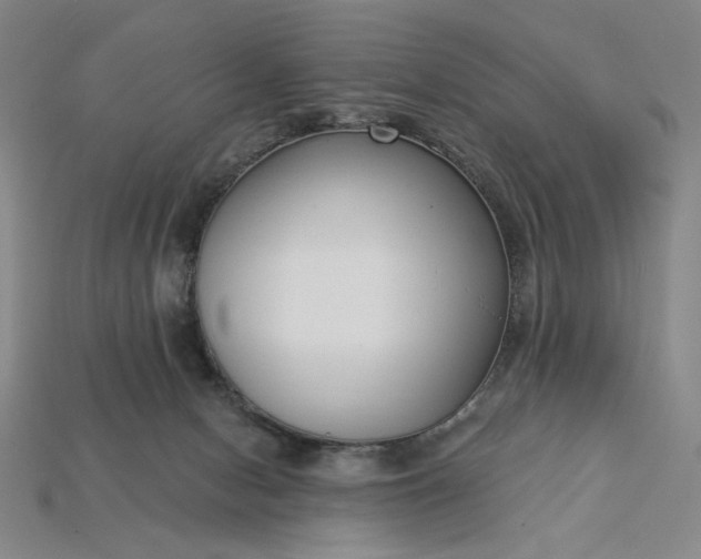 X0000115250078200911131733