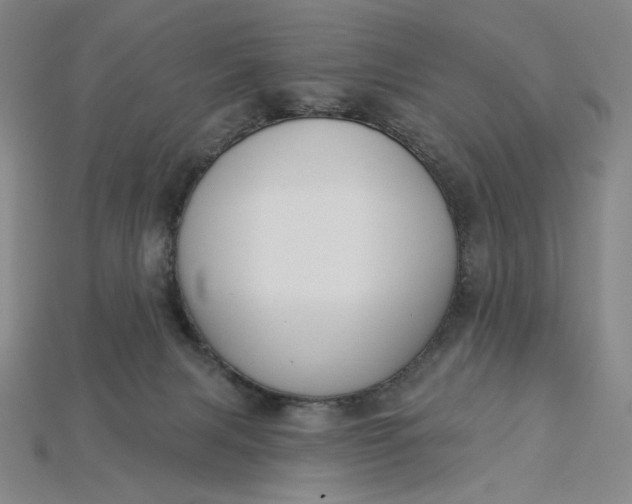 X0000115250079200911131733