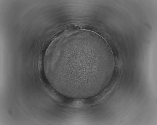 X0000115250080200911131733