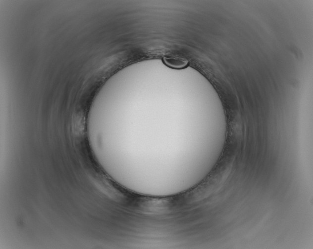 X0000115250081200911131733