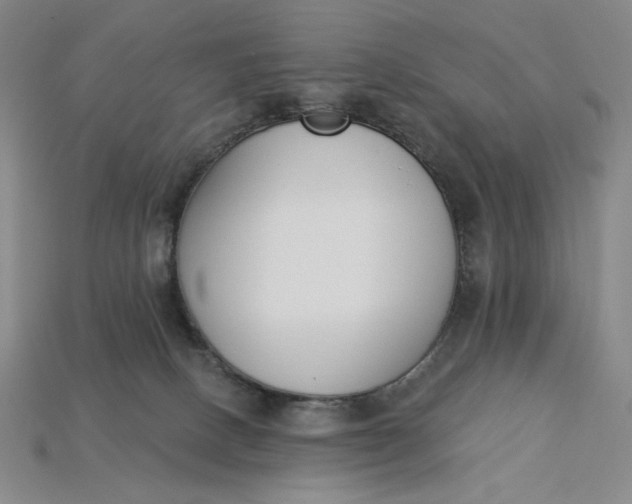 X0000115250082200911131733