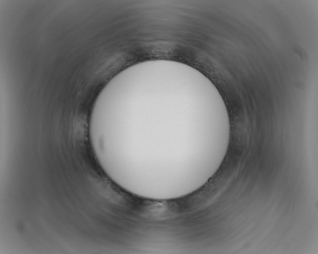 X0000115250083200911131733