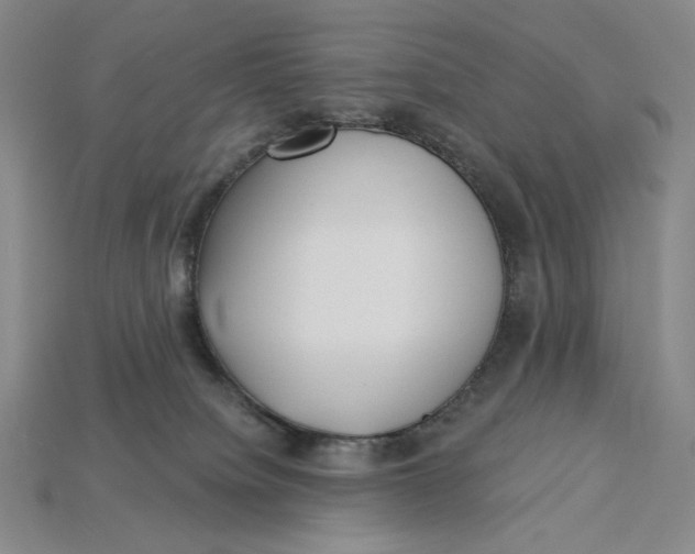 X0000115250084200911131733