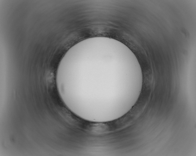 X0000115250087200911131733