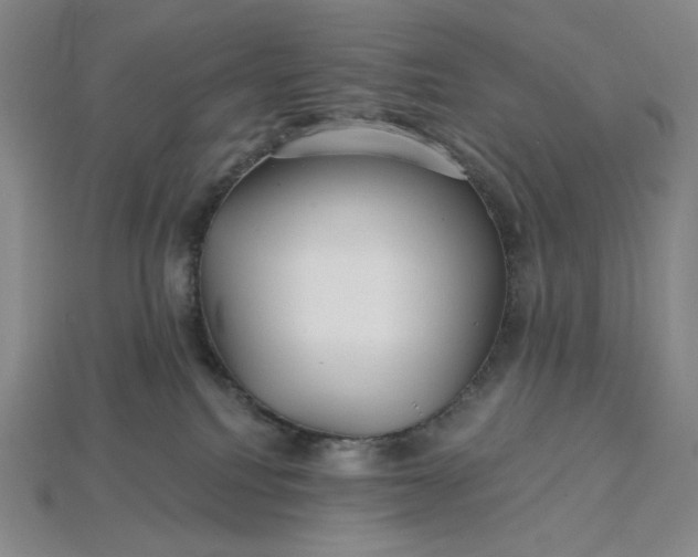 X0000115250088200911131733