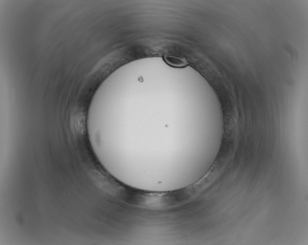 X0000115250090200911131733