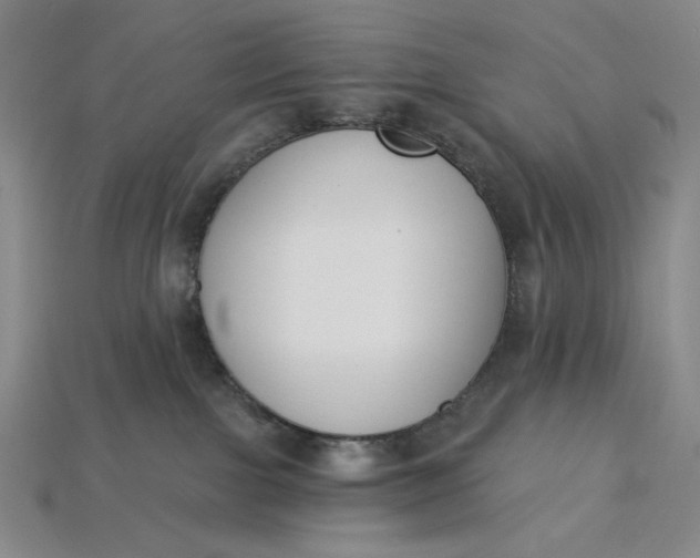 X0000115250091200911131733