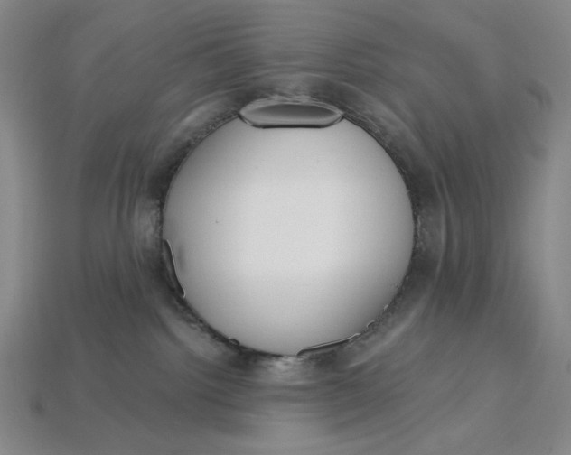 X0000115250092200911131733