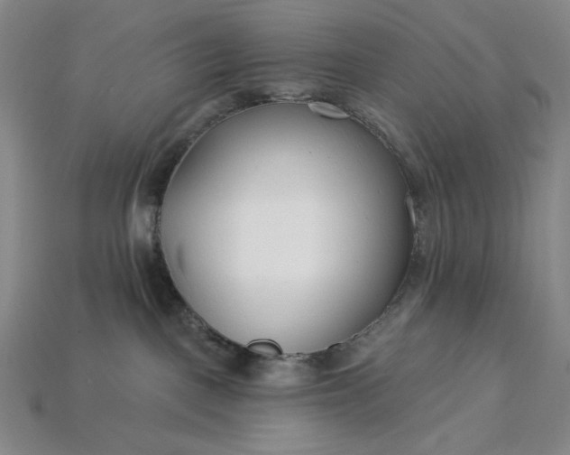 X0000115250093200911131733