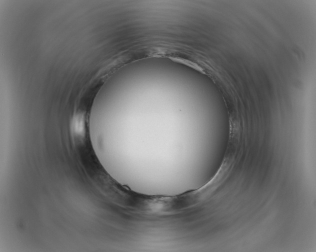 X0000115250094200911131733