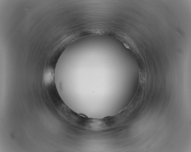 X0000115250095200911131733