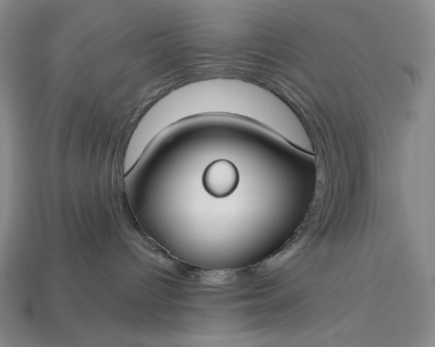 X0000115250096200911131733