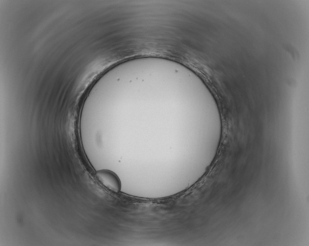 X0000115250098200911131733