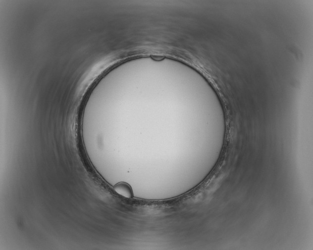 X0000115250103200911131733