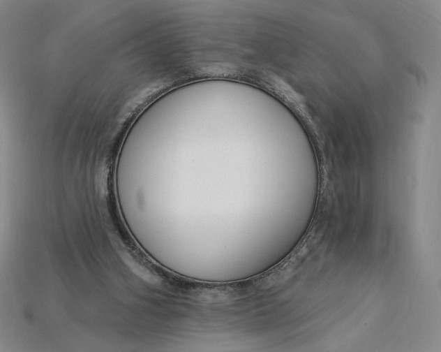 X0000115250106200911131733