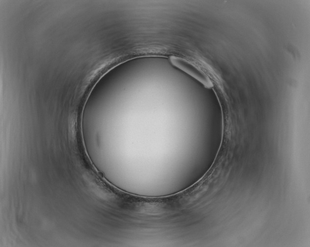 X0000115250107200911131733