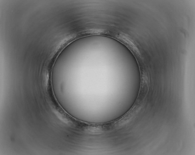 X0000115250110200911131733