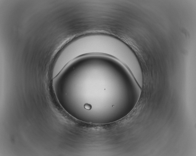 X0000115250112200911131733