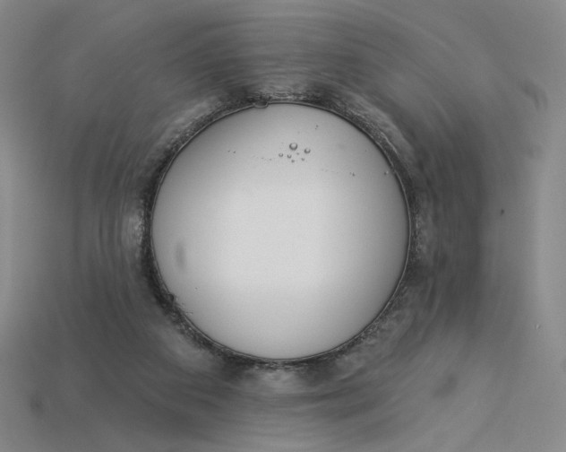 X0000115250113200911131733