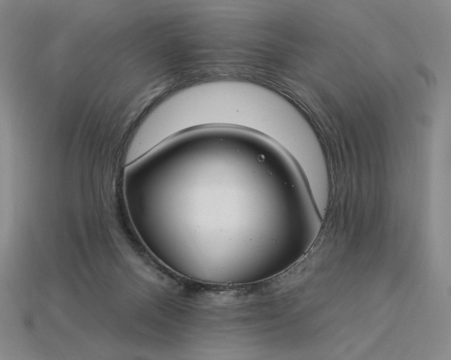 X0000115250120200911131733