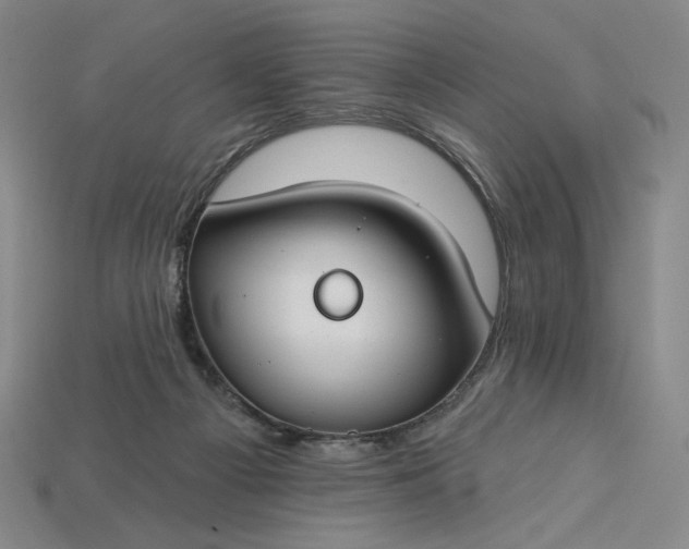 X0000115250121200911131733