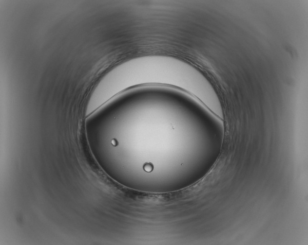 X0000115250124200911131733