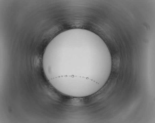 X0000115250126200911131733