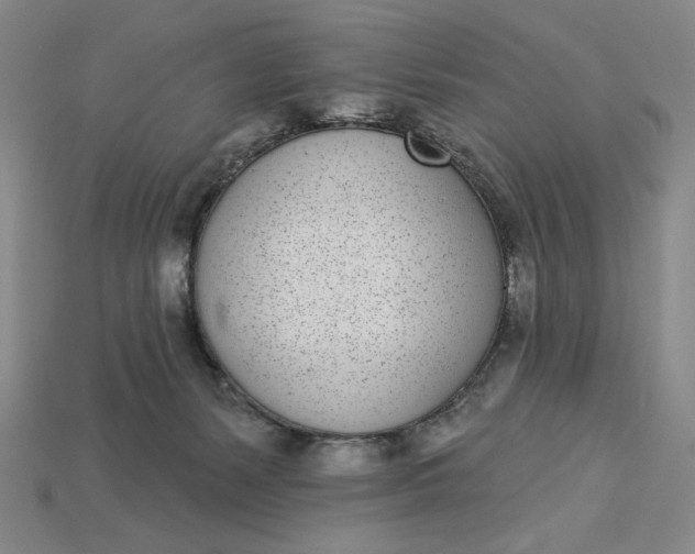 X0000115250127200911131732