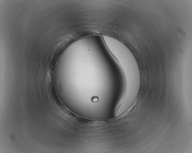 X0000115250128200911131732