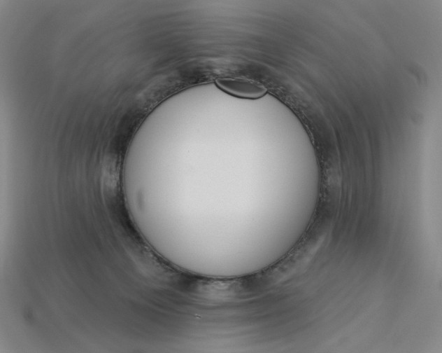 X0000115250129200911131732