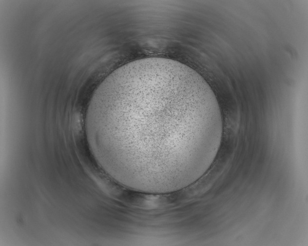 X0000115250130200911131732