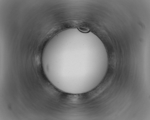 X0000115250131200911131732