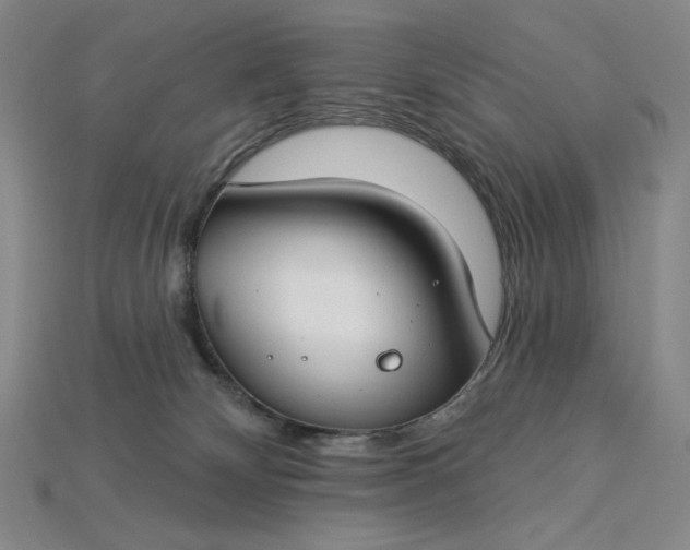 X0000115250132200911131732