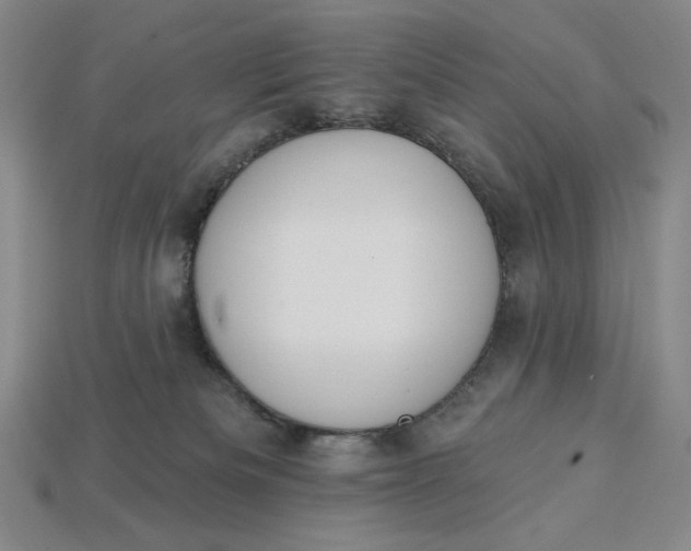 X0000115250133200911131732