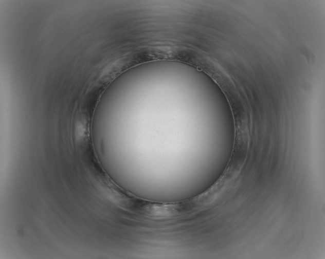 X0000115250134200911131732