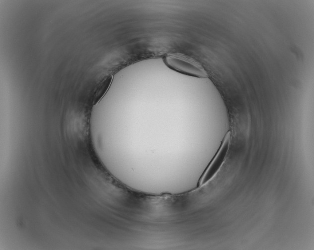 X0000115250136200911131732