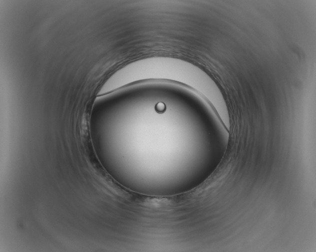 X0000115250137200911131732