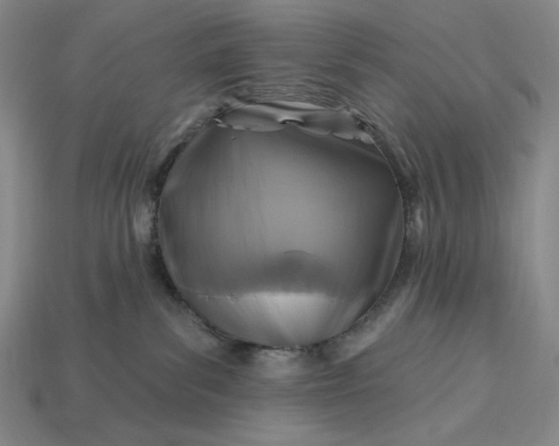 X0000115250139200911131732