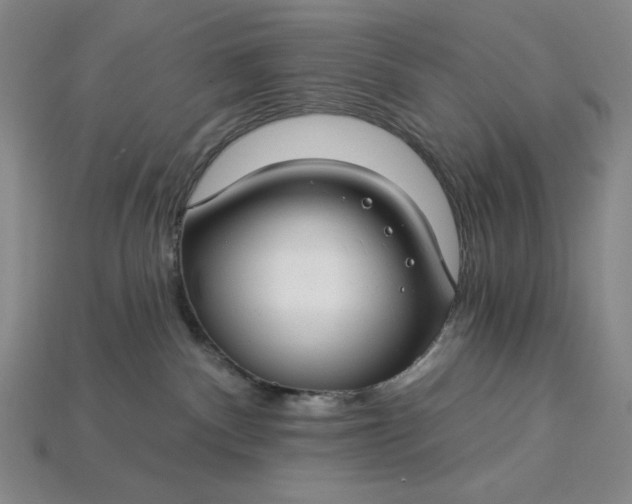 X0000115250140200911131732