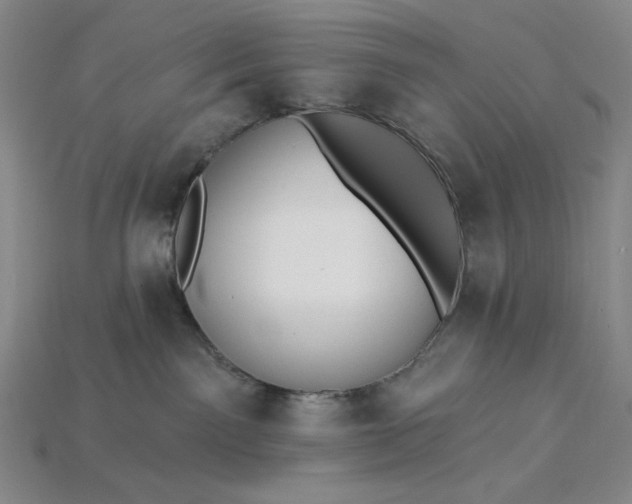 X0000115250141200911131732