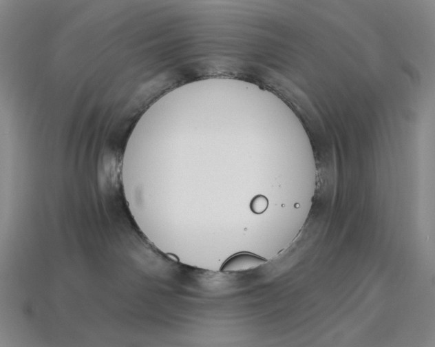 X0000115250142200911131732