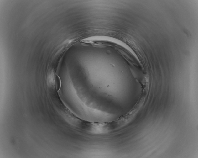 X0000115250143200911131732