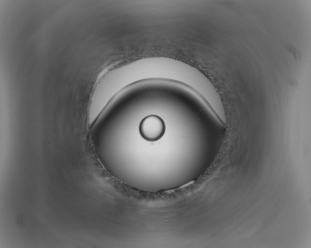 X0000115250144200911131732